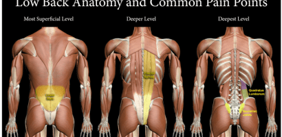 low back anatomy and pain points